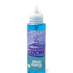 AMBIENTADOR DE COCHE PULVERIZADOR AROMA BRISA MARINA 100ml